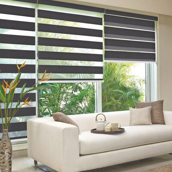 Zebra Blinds